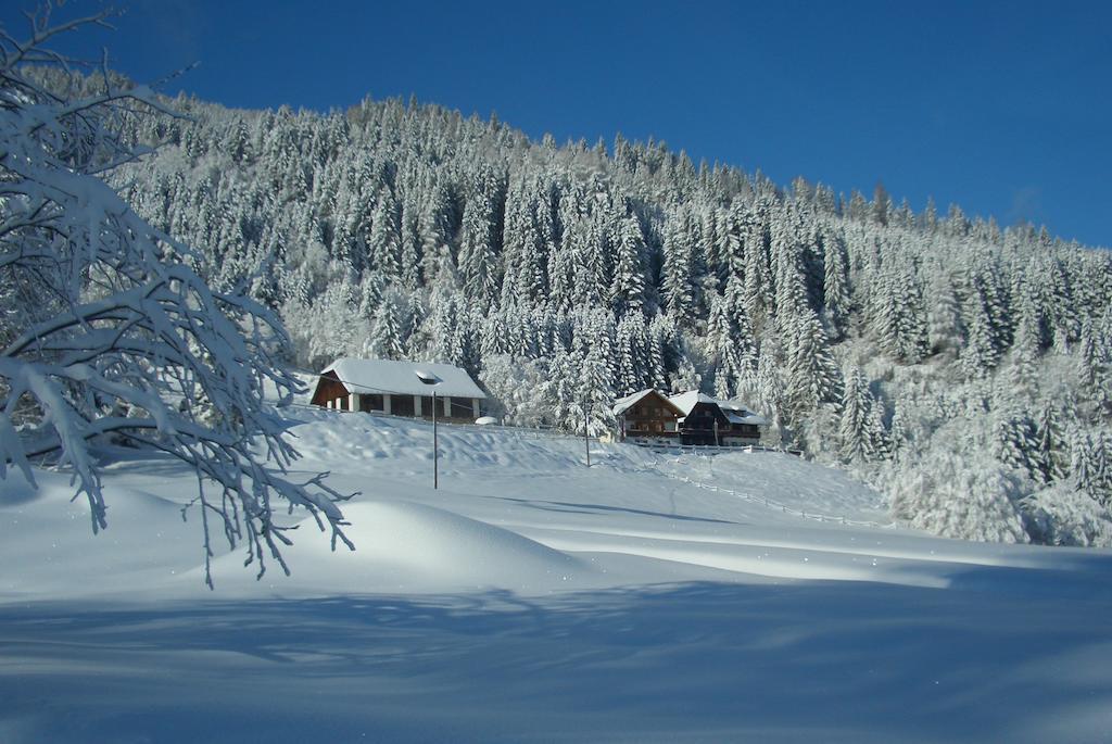 Gasthof Thurnerhof Untertweng Eksteriør billede